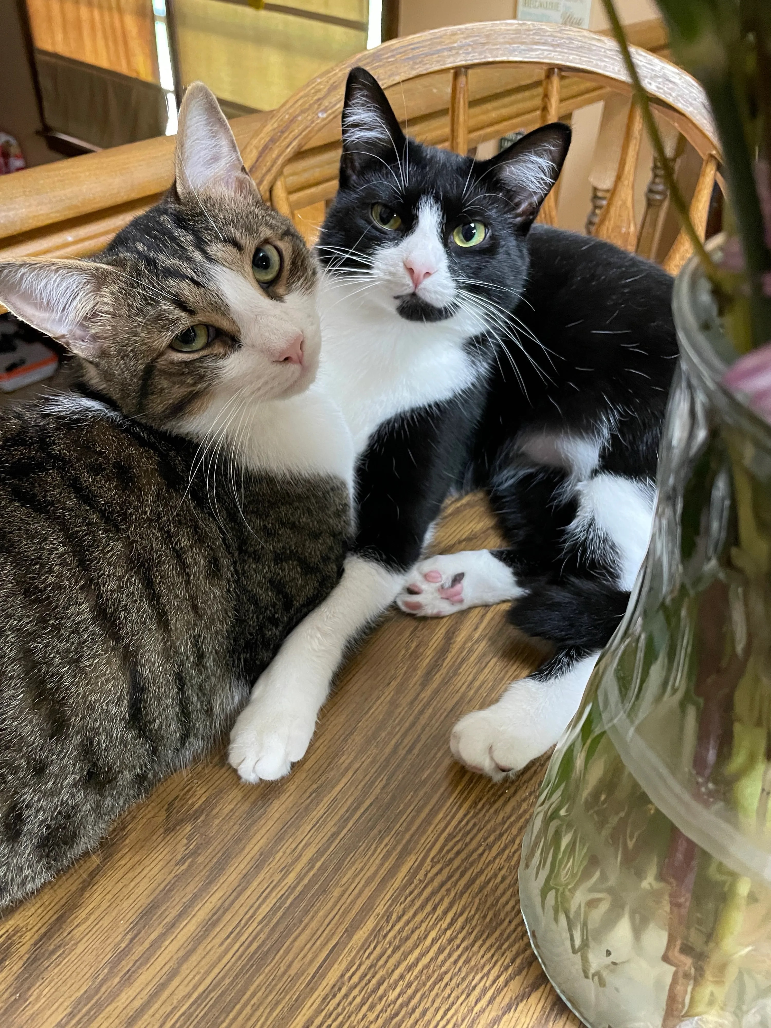 Odysseus and Penelope